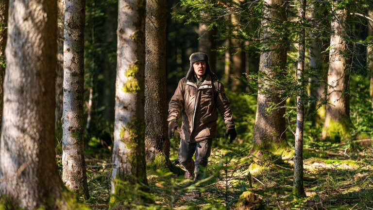 Sebastian streift durch den Wald