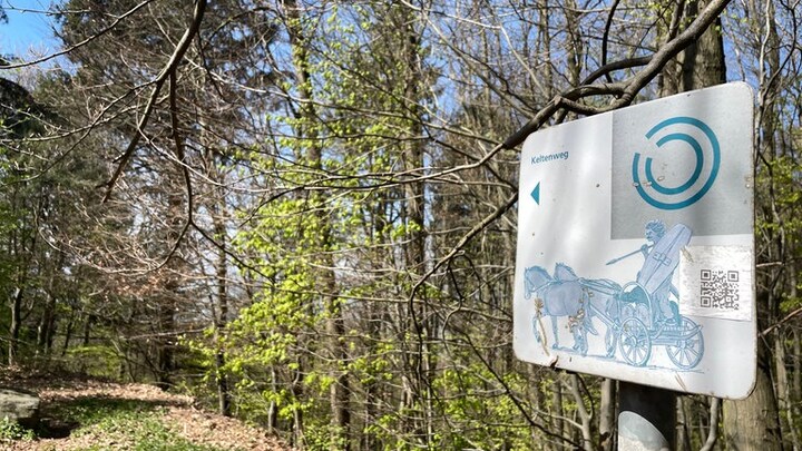 Keltenweg auf dem Heiligenberg in Heidelberg