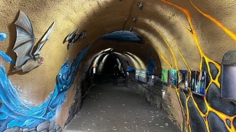 An einem der beiden Eingänge des Ulmer Maar-Stollens sind professionelle Graffiti an die Wand gesprüht. 