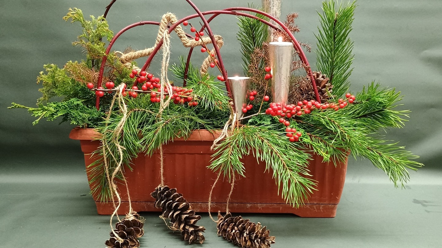 Stimmungsvolle Balkonkästen in der Weihnachtszeit