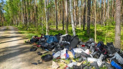 Viele haben es schon häufig bei einem entspannten Spaziergang durch die Natur entdeckt. Müll, der illegal von Menschen in der Natur abgeladen wurde! Aber warum passiert so etwas?