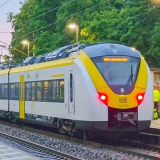 Bei Ettlingen ist ein Bahn-Mitarbeiter aus einem Zug gestürzt.