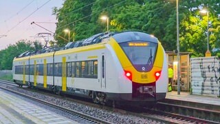 Bei Ettlingen ist ein Bahn-Mitarbeiter aus einem Zug gestürzt.