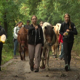 Jugendliche wandern mit Pferden