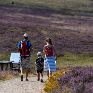 Eine Familie aus Baden-Württemberg geht in der Lüneburger Heide spazieren (Symbolbild).