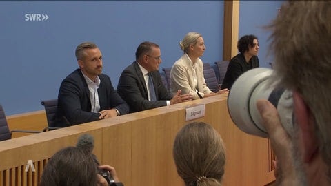 Politiker der AfD bei einer Pressekonferenz
