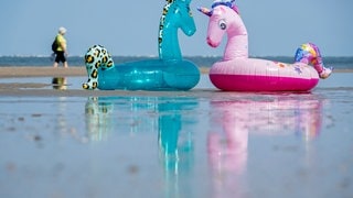 Aufblasbare Schwimmtiere liegen bei sonnigem Wetter in einem Priel am Nordstrand der Insel. (Symbolbild)