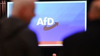 Die AfD hat sich von einem mutmaßlich rechtsextremen Aktivisten getrennt. Der Mann war vor mehreren Monaten Mitglied im AfD-Kreisverband Konstanz geworden.