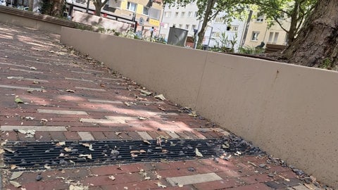 Der Pfälzer Platz in Pforzheim wurde umgebaut und soll dadurch zu einem kühleren Ort in der Stadt werden.