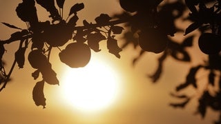 Der Sommer in Baden-Württemberg neigt sich dem Ende zu: Am Dienstag wird es ein letztes Mal heiß