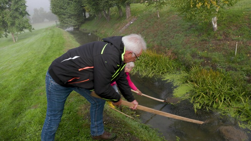 Hierzuland Belgweiler Mühlgraben
