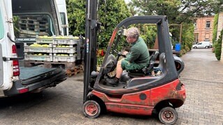Obstbauer sitzt im Gabelstapler und verlädt Obstpaletten in einen Transporter