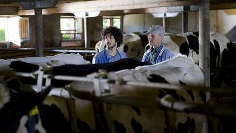 Albert arbeitet mit Karl im Stall