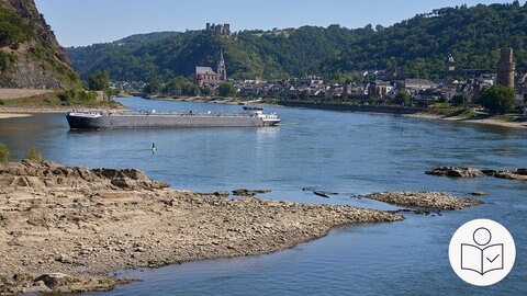 Ein Schiff fährt auf dem Rhein. Man sieht viele Sand·bänke. Rechts das SWR Logo für Leichte Sprache. 
