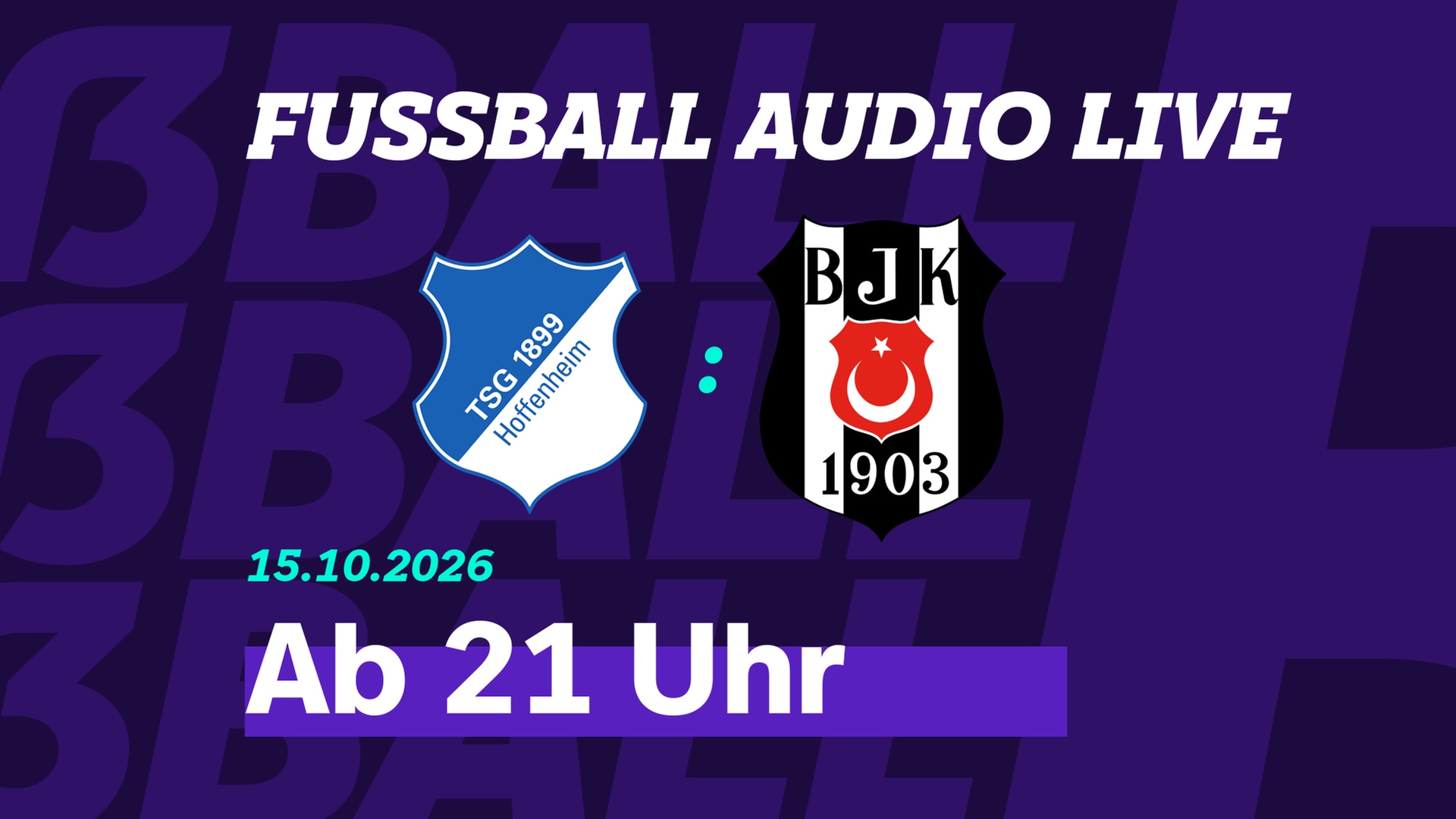 Ab 21 Uhr live im Audiostream: TSG Hoffenheim gegen Besiktas