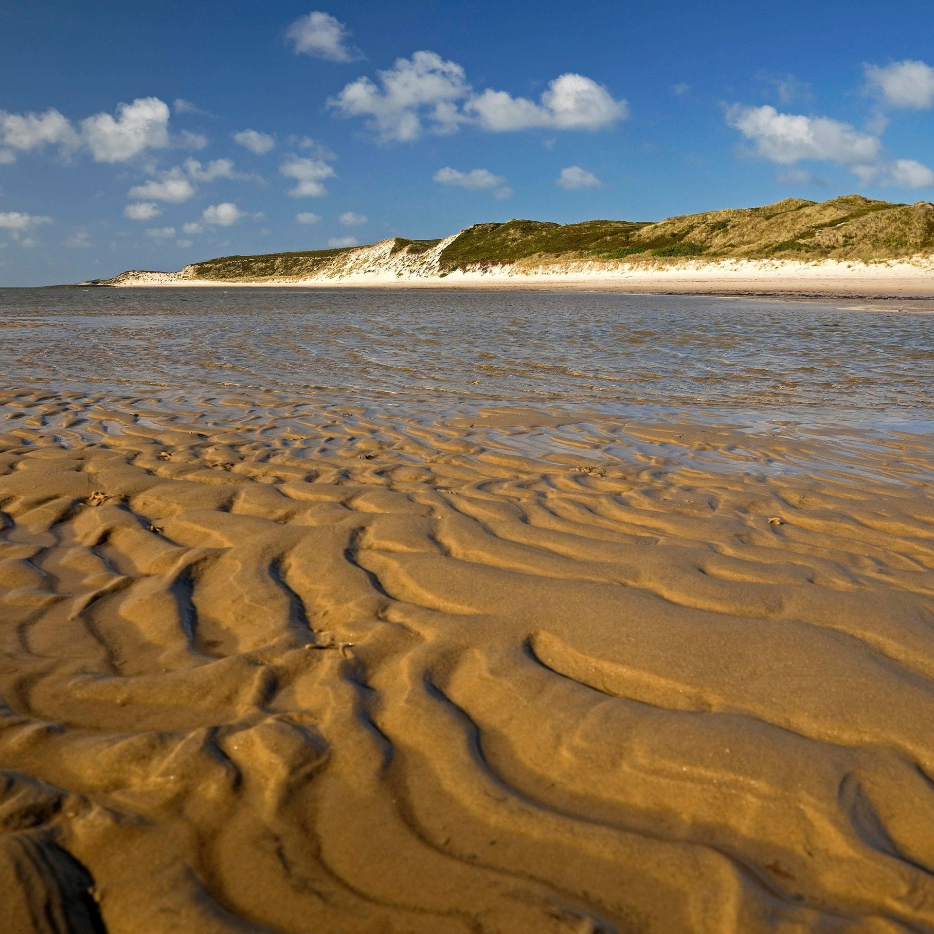 Wie entstehen am Strand die typischen Wellenmuster im Sand? episode artwork