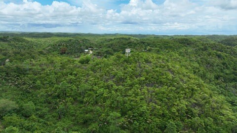 Exotische Landschaft auf den Philippinen