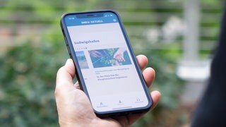 SWR Aktuell App Ludwigshafen