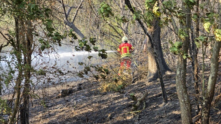 Zwei Brände riefen am Donnerstag die Feuerwehr nach Quirnbach. Teilweise kämpften die Einsatzkräfte in einer Steillage gegen das Feuer.