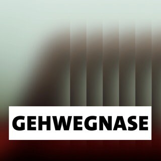 Wort der Woche: Gehwegnase