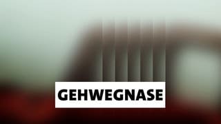 Wort der Woche: Gehwegnase