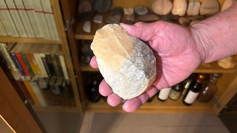 Der Primat Homo erectus nutzte den Faustkeil als Werkzeug.
