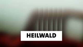 Wort der Woche: Heilwald