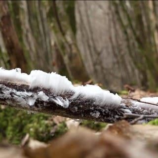Haar- Eis