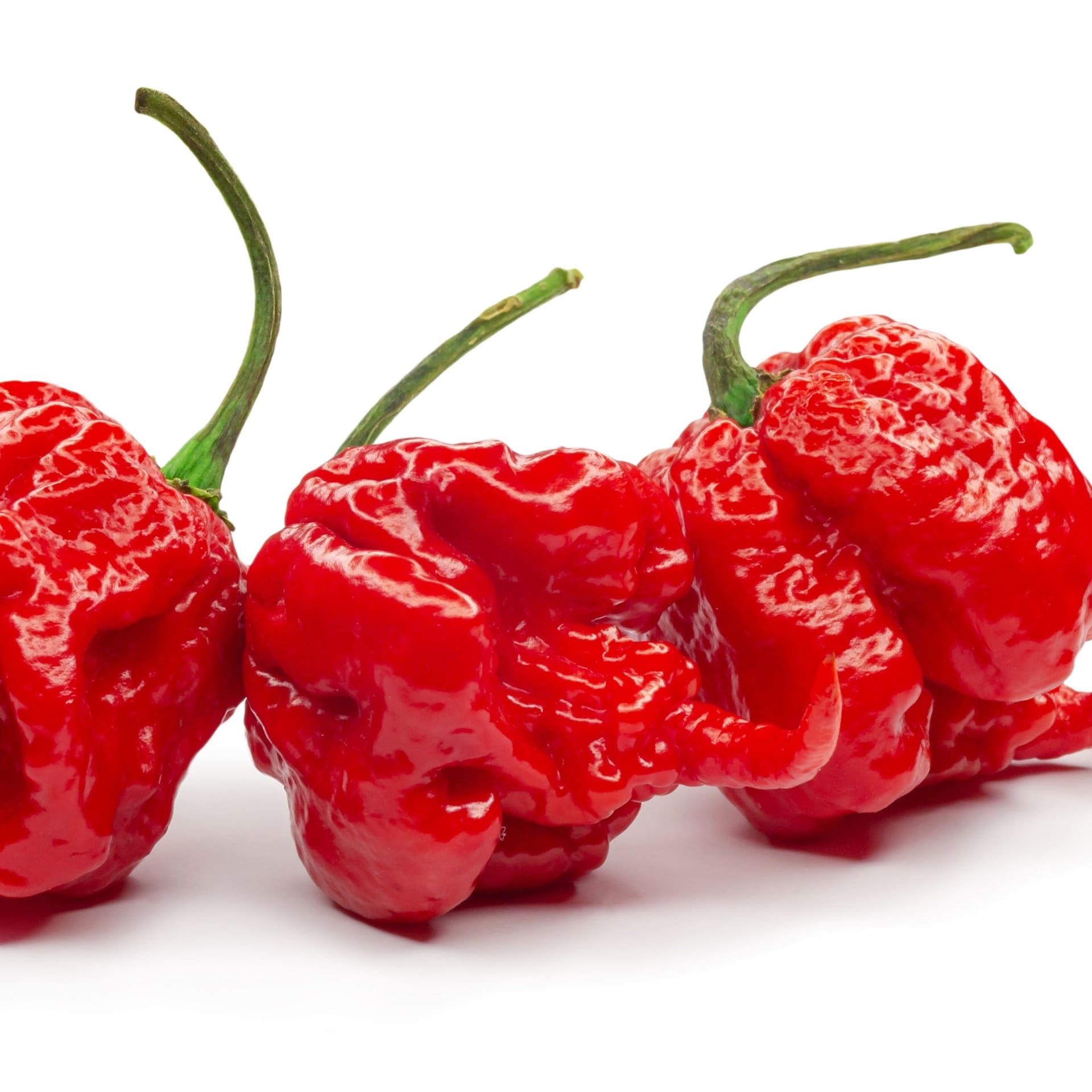 Wie misst man "Schärfe" und warum sind Chilis "anders" scharf als Senf oder Wasabi? episode artwork