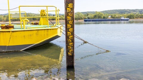 Historisches Niedrigwasser am Rhein: Der Pegel Oberwinter liegt bei nur noch 7 cm, der Grund ist deutlich erkennbar. Die Pegellatte selbst ist erst ab einem Stand von 40 cm ablesbar.