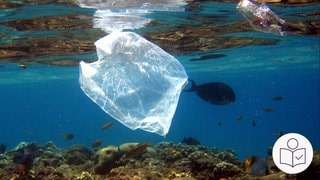 Eine Plastik·tüte schwimmt im Meer. Forscher von der Uni Konstanz haben ein Enzym an einem Bakterium entdeckt. Damit wollen sie etwas gegen Plastik·müll tun. Rechts das SWR Logo für Leichte Sprache. 