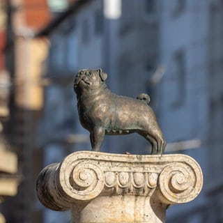 Mops-Denkmal am Eugensplatz vor dem ehemaligen Wohnhaus von Loriot, Vicco von Bülow