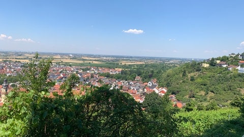 Die Strahlenburg in Schriesheim wurde um 1235 erbaut und wird für 3,5 Millionen Euro zum Verkauf angeboten