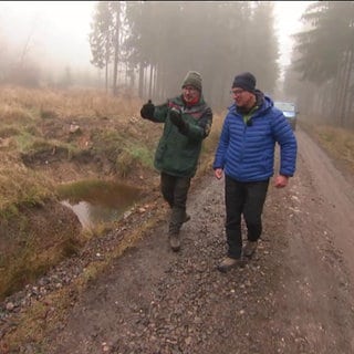 SWR-Wetterreporter Markus Bundt unterwegs im Wald