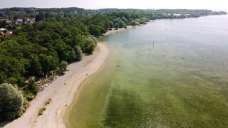 Niedriges Wasser und Hitze ist ein Problem für Tiere im Bodensee