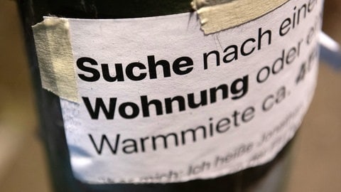 Ein Schild, auf dem nach einer Wohnung gesucht wird. Symbolbild: Immer mehr junge Menschen sind wohnungslos in der Pfalz.