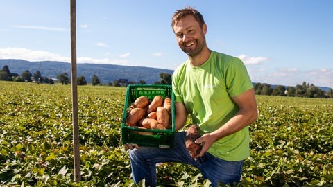 Landwirt Benjamin Wagner mit einer Kiste Süßkartoffeln auf einem Feld. Auf der Reichenau hat die Ernte des exotischen Gemüses begonnen.