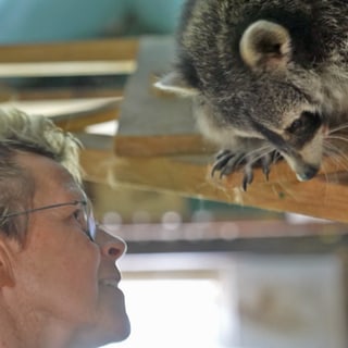 Tierärztin Nannette Welk mit ihrem Waschbären Napoleon.