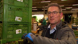 Gemüsebauer Markus Fischer steht in einer Lagerhalle. Links von ihm stehen mehrere grüne Kisten mit Salatblättern. Markus Fischer trägt Handschuhe.