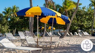 Liege·stühle und blau-gelbe Sonnen·schirme am Strand. Dahinter stehen Palmen. Rechts das SWR Logo für Leichte Sprache.