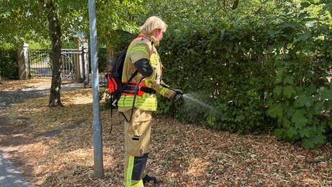 Mehrere Waldbrände haben am Wochenende die Feuerwehren im Kreis Karlsruhe auf Trapp gehalten. So geht der Kreisfeuerwehrverband damit um.