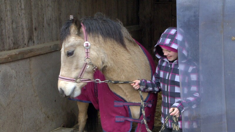 Kind mit Pony