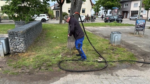 Mit einer Heißwasserdampf-Lanze impft Ameisenbekämpfer Richard Blantz den infizierten Untergrund