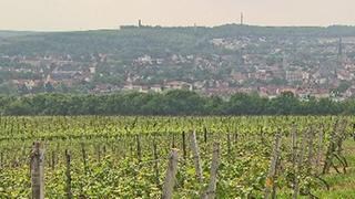 Alzey