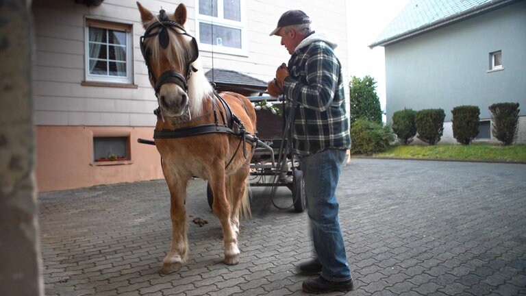 Hierzuland Hommerdingen, Mann mit Kutsche