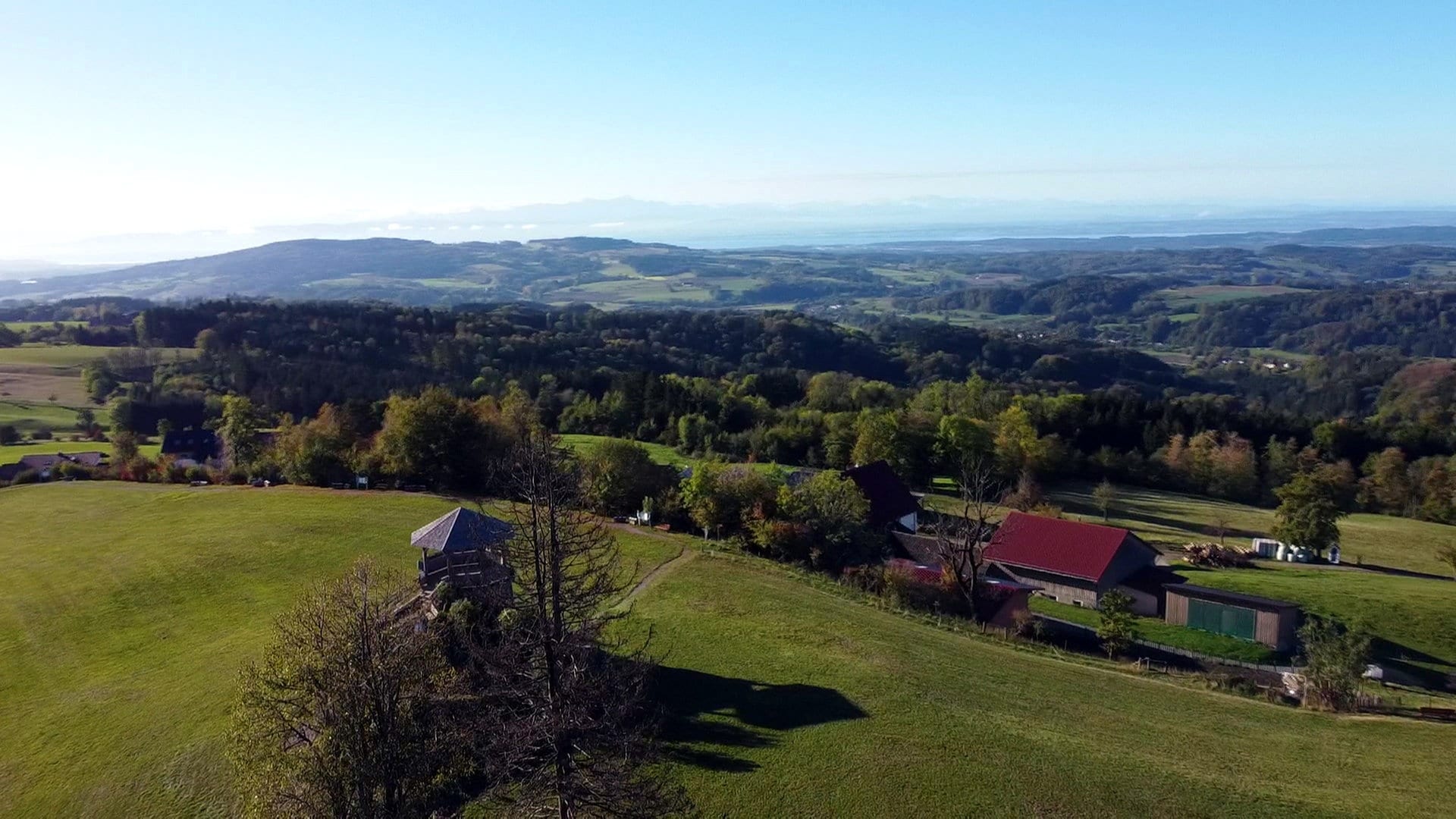 Herbstliche Wanderung auf den Höchsten am Bodensee