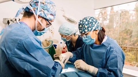 Mehrere Ärzte operieren einen Patienten im Krankenhaus. Am Medizincampus in Koblenz können Studierende aus Mainz jetzt den praktischen Teil ihrer Ausbildung an einer Klinik in Koblenz absolvieren.