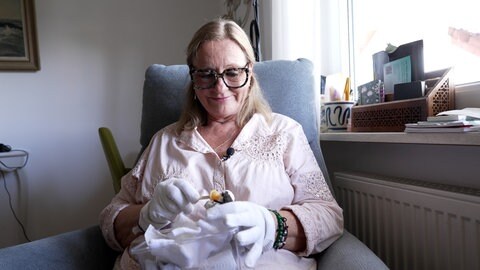 Ehrenamtliche päppeln Fledermaus-Babys ohne Mutter auf.