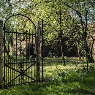 Gartenzaun mit Tor