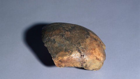 Dieses Schädelfragment wurde als "Neandertaler von Ochtendung" bekannt - es ist aber aus der Neuzeit.